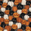 Midnight Magic Large Pumpkins 6393 93