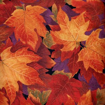 Moda September Leaves 32156 12