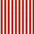 MONKEY BIZ - RULED STRIPE 28371-R