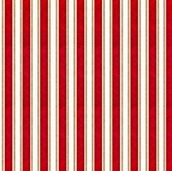 MONKEY BIZ - RULED STRIPE 28371-R