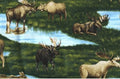 Moose The Last Frontier ETJ-6746-192 Spring