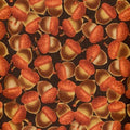 Nature Acorns C7202 Brown