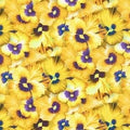 Nature Studies Pansies  SRKD 19181 133