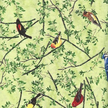 Natures Song Birds 38521 779 green
