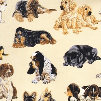 Newfie & Various Puppies Laying Around C8206 Cream