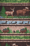 Northern Territory Border Stripe