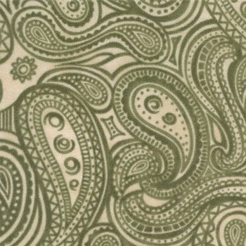 Northwoods Botanical Paisley Green 6372 21