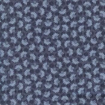 Oasis Fans Blue 120-2412
