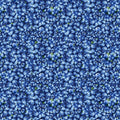 Packed Blueberries Fruit CD1748 Blue