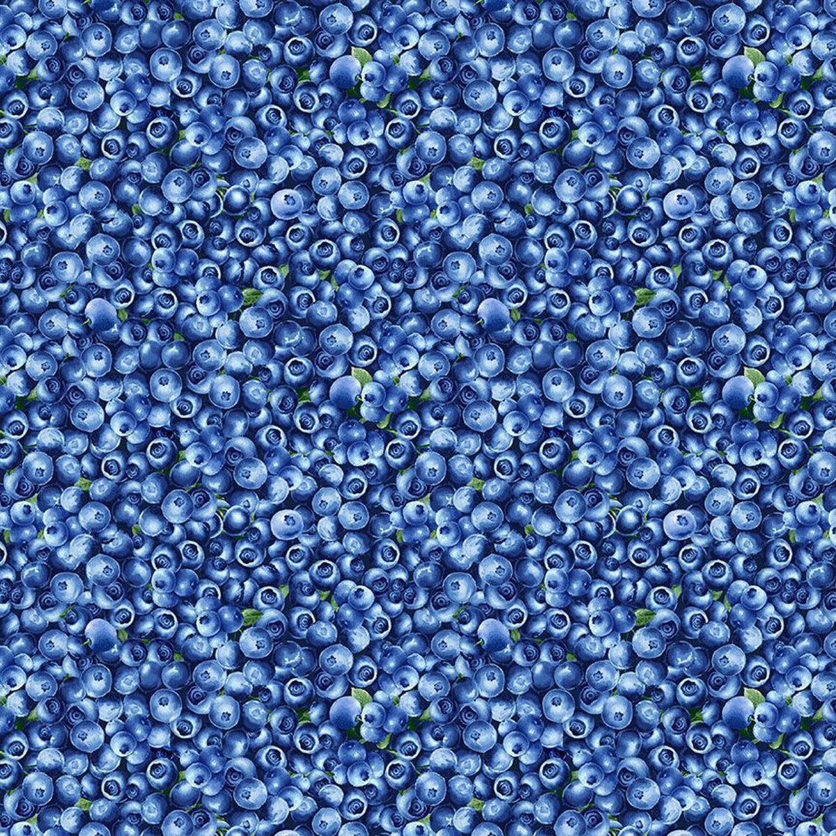 Packed Blueberries Fruit CD1748 Blue