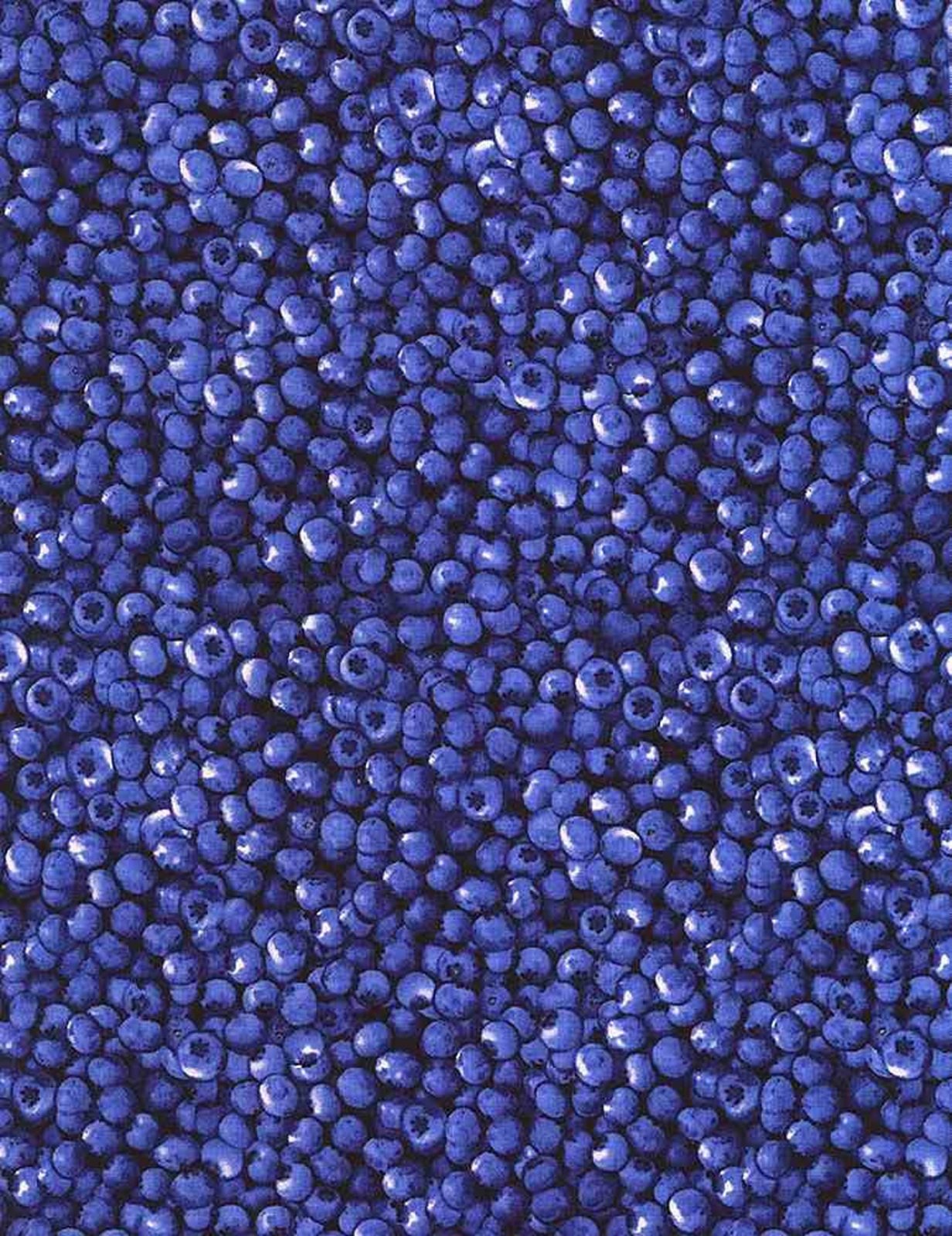 Packed Blueberries C1809 blue B