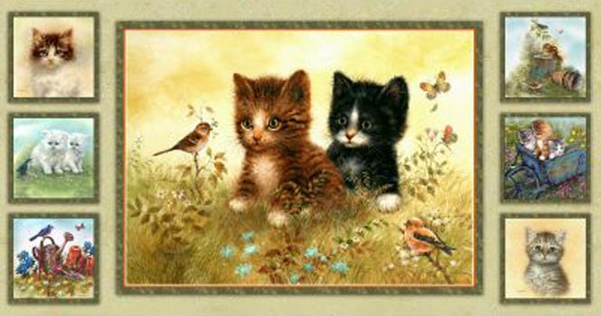 Playful Kitten Cat Panel 21495 Multi