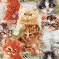Playful Kitten Cats Allover 21500 Multi