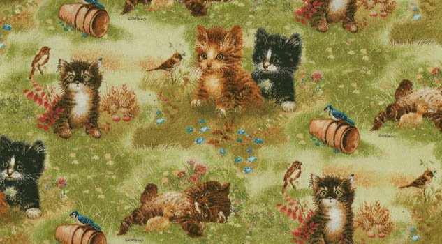 Playful Kitten Cats Playing 21499 Multi
