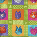 Prisma Cat Blocks 23112 15 Multi