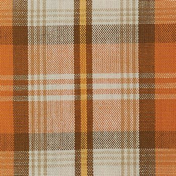 Pumpkin Seed Homespun Tea Towel 9948