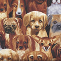 Puppy dog faces C9819 Black