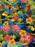 Rainforest Parrots C9815