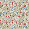 Rose Terrace Mini Paisley 28693 E Multi