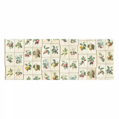 Royal Botanical Garden -  Fruit Floral Fancy RJ6161-FR3D