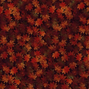 Shades of the Season 4 Leaves ETJ-11163-163 Spice