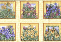 Shakespeare’s Flowers Yellow 66 3 1/4" motifs panel F0421 03