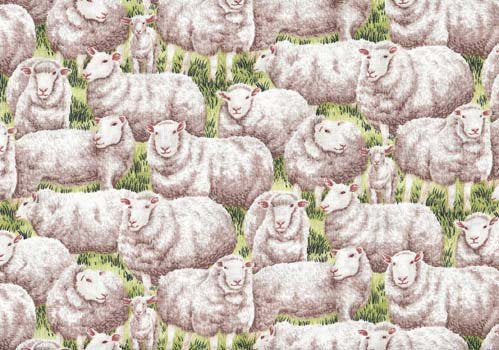 Sheep 120 1791 Farm Living