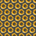 Show Me The Honey Sunflowers 1340 95 Gray