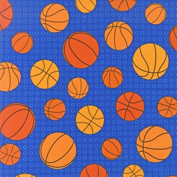 Sports Life 2 Basketballs 13968 11 Royal