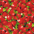Strawberries Farmer John’s Garden 120 5431