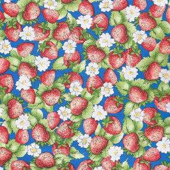 Strawberry Patch Blue 20932 B