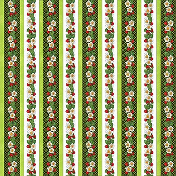 Strawberry Patch strawberries border stripe 7015 71 gr