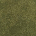 Studio Coordinate Salt texture Green 39064 700