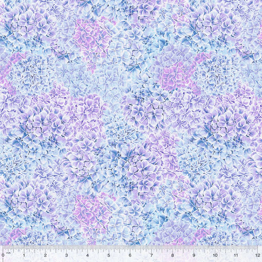 Summer Bliss Hydrangea flowerhead Texture 53708 7 soft blue