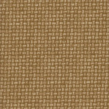 Tangled Threads Basket Weave Bei 20796 BEI1
