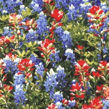 Texas Flowers CX4490 Mult D