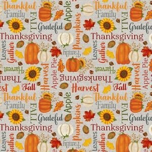 Thankful and Blessed Pumpkins and Words a4664 39 Gray