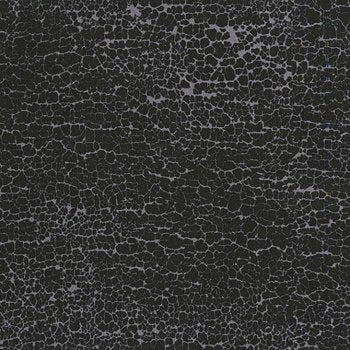 The Chalk Lines Crackle 2131 Black