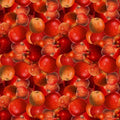 The Secret Life of Squirrels III Digital Apples Y4531-82 Red