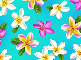 Tropical Breeze Orchids 22885 Q Blue