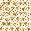 Turkey Talk Thanksgiving Acorns and Oak Leaves  736-36 Cream