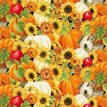 Turkey Talk Thanksgiving Pumpkin Fields 735-34 Orange