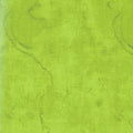 Urban Legend 7101 60 Green