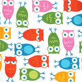 Urban Zoologie  Owls AAK 10348 1 White