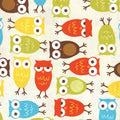 Urban Zoologie  Owls AAK 10348 237 Bermuda
