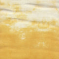 Variegated Yellow rjr 57062 001