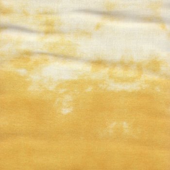 Variegated Yellow rjr 57062 001