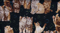 Whiskers & Tails Cats with Bubbles 809-205