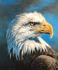 Wild and Beautiful Eagle Digitally Printed Panel P9283 FREE Pattern avaiable below