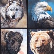 Wild and Beautiful Eagle Bear Wolf and Buffalo Pillow Panel P9284 Digital